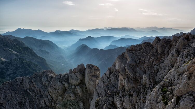 Гороскоп на сегодня, 24 февраля. Фото: Krivec Ales/pexels