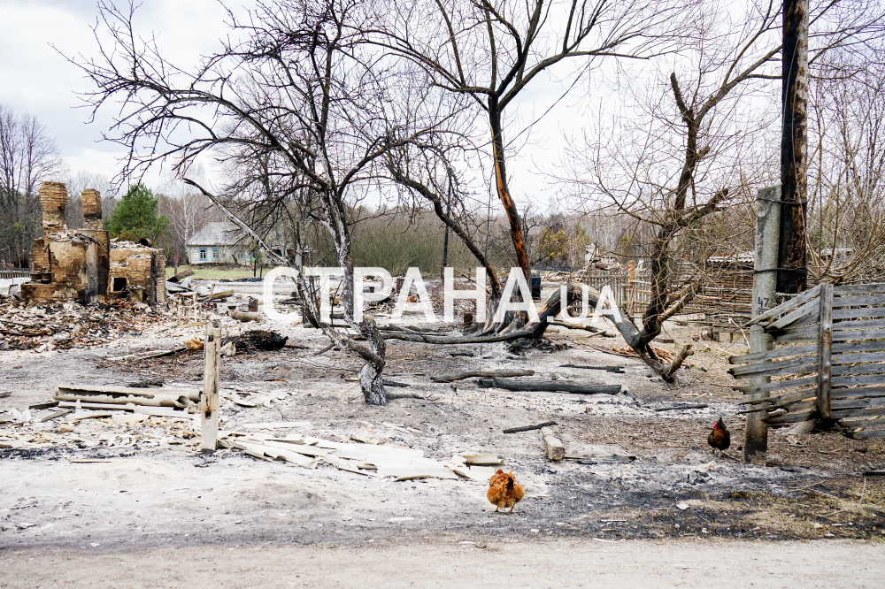 Последствия пожаров в Житомирской области