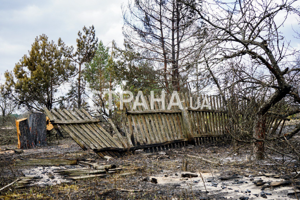 Последствия пожаров в Житомирской области