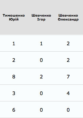 Выборы в Новых Санжарах 2019