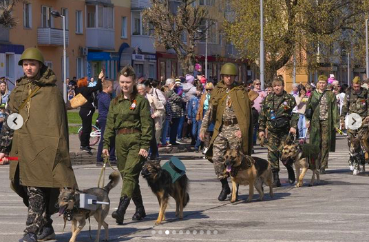 полк собак