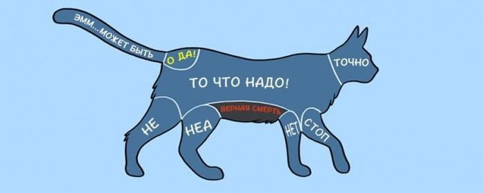 как гладить кота