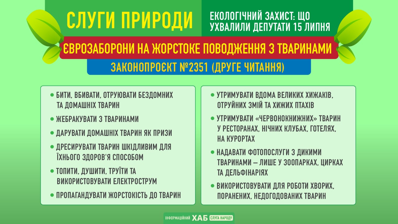 Рада приняла законопроект об усилении борьбы против жестокого обращения с животными