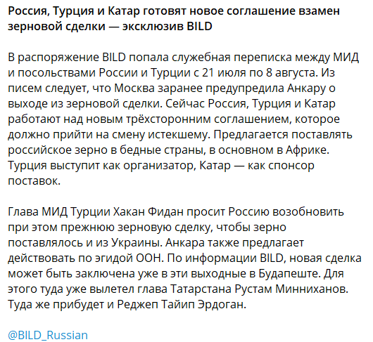 Росія, Туреччина та Катар готують альтернативу зерновій угоді